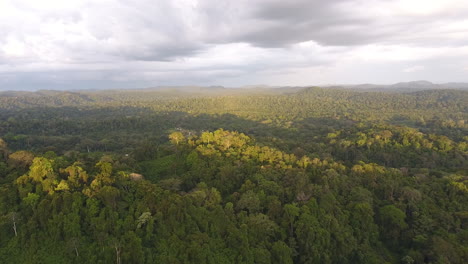 Drone-discovering-rain-forest-Guiana-Amazonian-Park-Saül.-Golden-hour-sunset